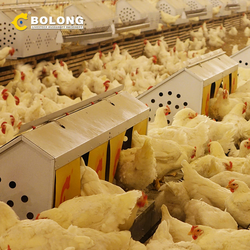 robust construction Egg Retrieval System